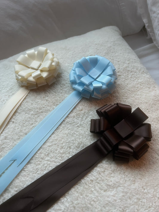 The Best in Show Ribbon Rosette