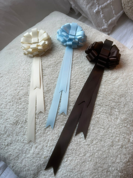 The Best in Show Ribbon Rosette